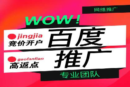 百度推广平台案例精选：揭秘热门广告策略