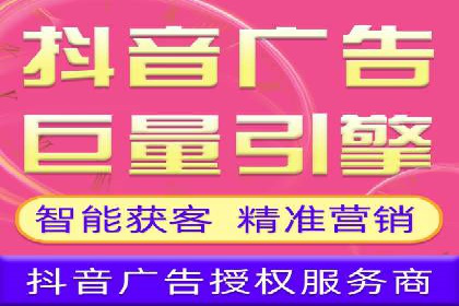 SEM广告投放的竞价策略与效果评估案例